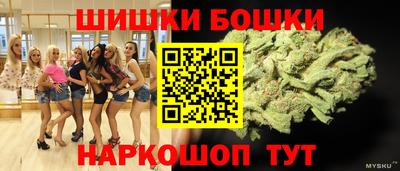 индика Ливны