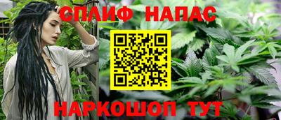 индика Ливны