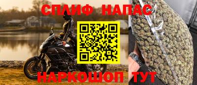 индика Ливны